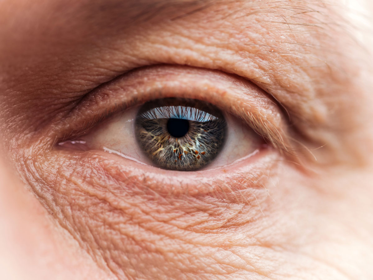oog